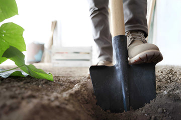 Garden Tools & Accessories