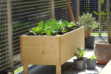 Garden Planters & Raised Beds