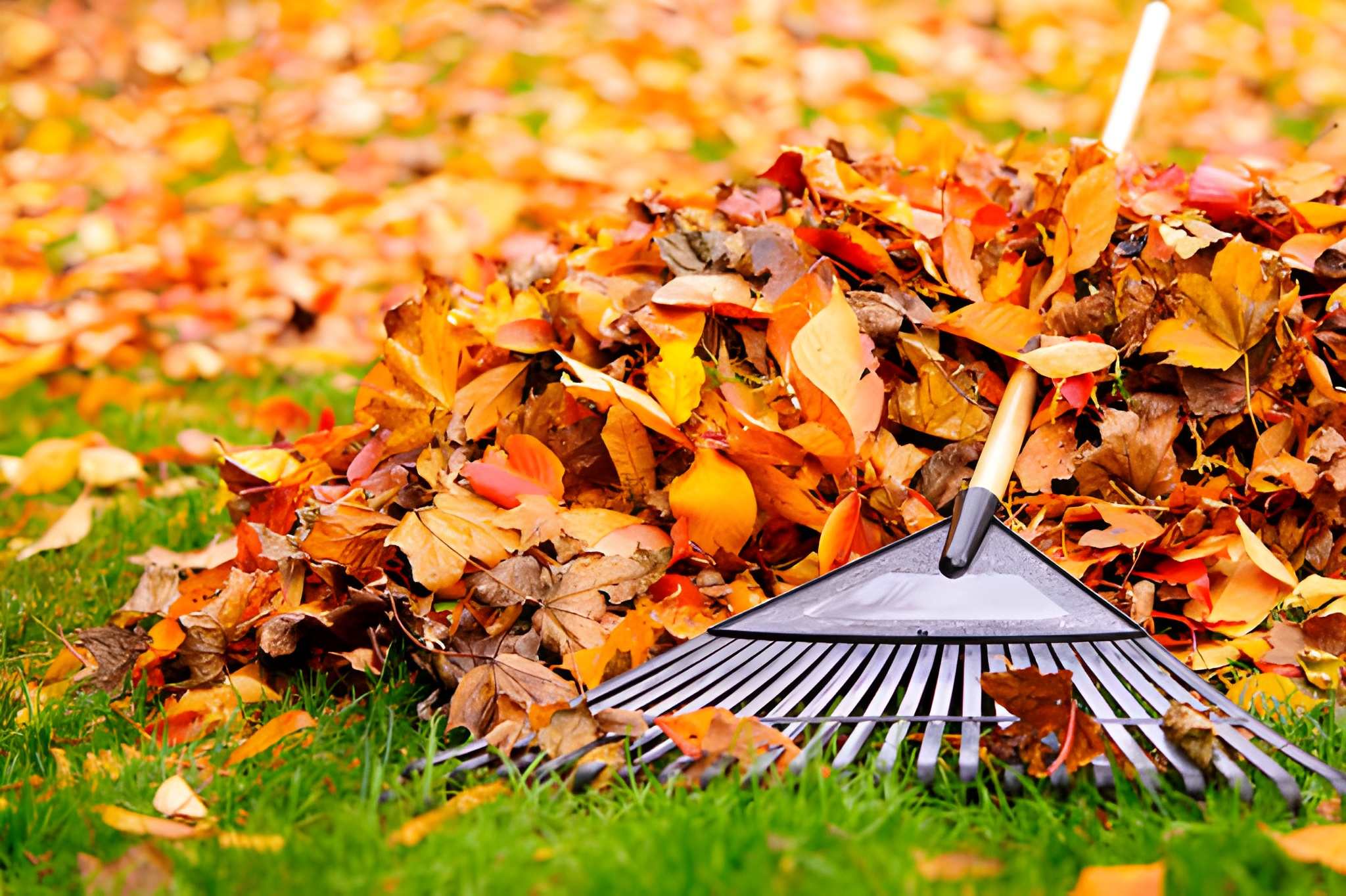 slider image slider_item_fR7RtJ